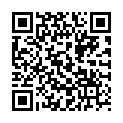 QR STAUDT MANSCHETTEN KNIE XL