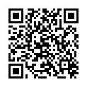 QR STAUDT MANSCHETTEN KNOECHEL L