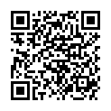 QR Джуниорстар Лантус/Апидра/Инсуман шприц-ручка серебристая