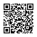 QR VT IMPULS AD KKL3 IV N/L OFS C