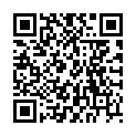 QR HEINE BATTERIE NICD M2Z ZU