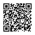 QR Телескопическая штанга Labulit, 2 шт., быстрый адаптер 1,8-3,6 м.