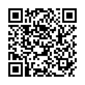 QR TAOASIS FENG SHUI RAUMOBJEKT S