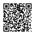 QR BRONCHOSTOP DISP GEFUELLT D