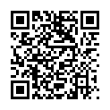 QR BRONCHOSTOP DISP GEFUELLT F