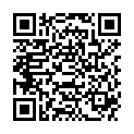 QR UNISPLINT NOTFALLSCHIENE 30CM