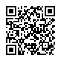 QR PHYTOMED SCH TRITURAT NR15 D12