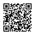 QR PHYTOMED SCH TRITURAT NR16 D12