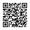 QR PHYTOMED SCH TRITURAT NR23 D12