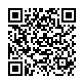 QR RUBIS PINZ GERADE SILBER-IONEN