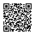 QR HEINE XHL HALOGENLAMPE 2.5