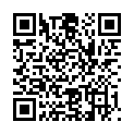 QR PHYTOMED MELISSE MASSAGEL