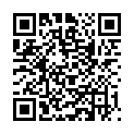 QR CYSTOFIX WECHSELBESTECK CH15