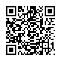 QR DIXA ILICIS AQUIFOLII FOLIA CO