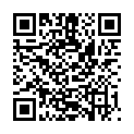 QR SCHILLER ELEKTRODEN KLAMME