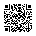 QR ISSRO SCHNEIDEBRETT FALTBAR