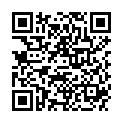 QR BRAVA REINIGUNGSTUECHER