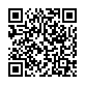 QR WEL STIBIUM METALLICUM PRA D30