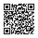 QR PIC INDO EINMALSPRI 30ML LUER