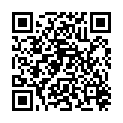 QR RUBIS PINZ SCHRAEG VIOLETT INO