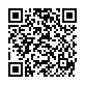 QR WEL ARGENTUM METALLICUM PR