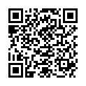 QR WELLSTONE MASSAGEROLLER AMETHY