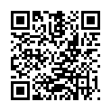 QR WELLSTONE MASSAGEROLLER ARAGON