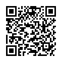 QR PHYTO CARDUUS MARIANU URTINKT