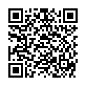 QR HE JOHANNISKRAUT BLTE FRANKREI