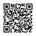 QR DANSAC EASI PFLASTERENTFERNER