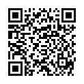 QR BORT STABILO KNIEBDGE O STA+40