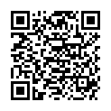 QR SPAGYROS MELISSA OFFICINAL