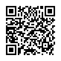 QR PHYTOMED SCH NR3 FERR PHOS D12