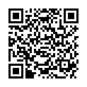 QR INCIDIN FOAM FLAECHENDESINFEKT