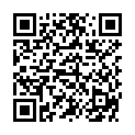 QR WEL STIBIUM METALLICUM PRA D12