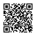 QR BRAUN REINIGUNGSKARTUSCHE SYNC