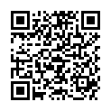 QR WEL ARGENTUM METALLSPIEGELFOLI