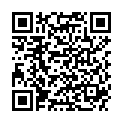 QR BOR NAGELZANGE 10CM STAHL