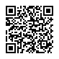 QR SHUYAO TEEKULT 113.INGWER APFE