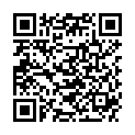 QR RZ CODEX SANITAERREINIGER 330