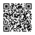 QR DV STEVEN LESEBR SCHWARZ 2.0