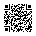 QR DV STEVEN LESEBR SCHWARZ 1.5