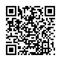 QR DIEM LESEBR PRAG SILBER 1.0