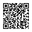 QR MYLIFE PURA LANZETTENGERAET