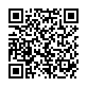 QR HAUSMANN PINZETTE SPITZ SCHWAR