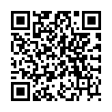 QR HAUSMANN PINZETTE SPITZ BLAU