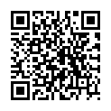 QR PHYTODOR FEUER REFILL