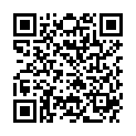 QR PHYTODOR CHAKRA OEL WURZEL