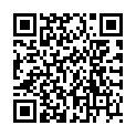 QR VAYO E-SHISHA ERDBEERE