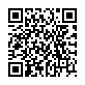 QR VAYO E-SHISHA APFEL